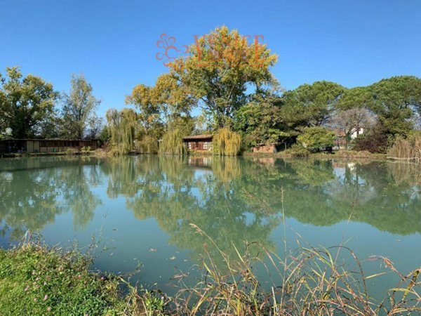 casa indipendente in vendita a Riese Pio X in zona Poggiana