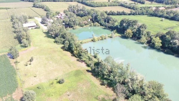 esavano in vendita a Riese Pio X