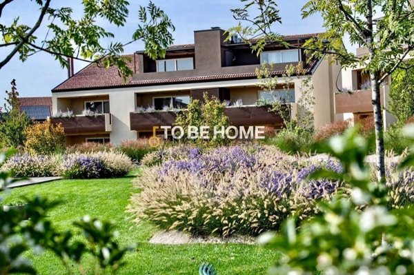 casa indipendente in vendita a Riese Pio X