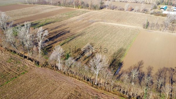 terreno agricolo in vendita a Riese Pio X