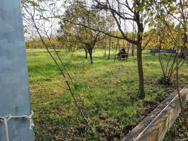 terreno agricolo in vendita a Roncade in zona Musestre