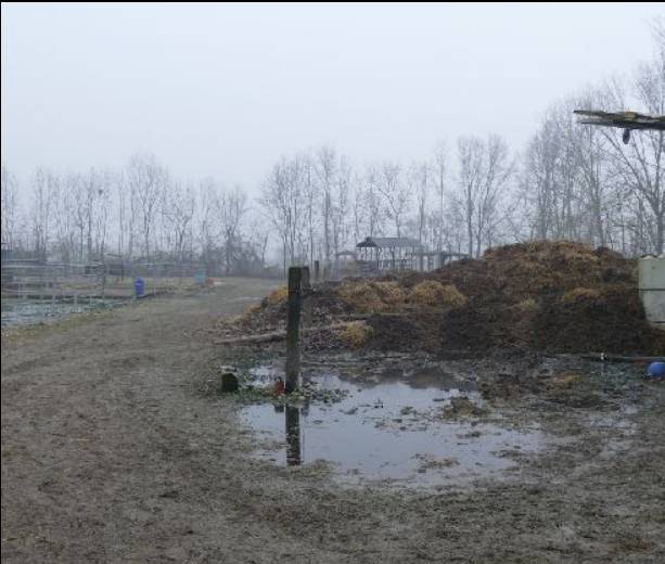 terreno agricolo in vendita a Roncade