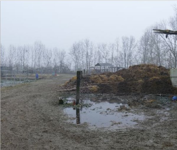 terreno agricolo in vendita a Roncade