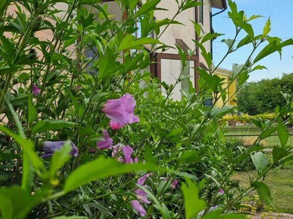 casa indipendente in vendita a Roncade in zona Ca' Tron