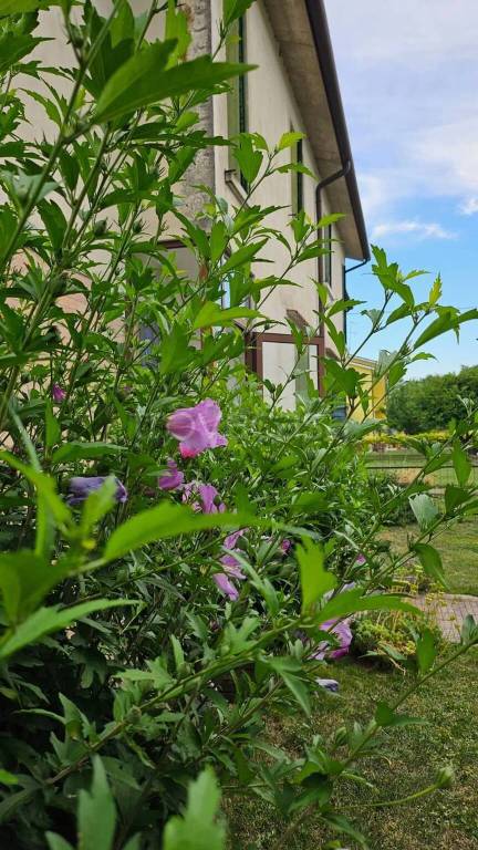 casa indipendente in vendita a Roncade in zona Ca' Tron