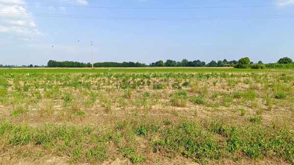 terreno edificabile in vendita a Roncade