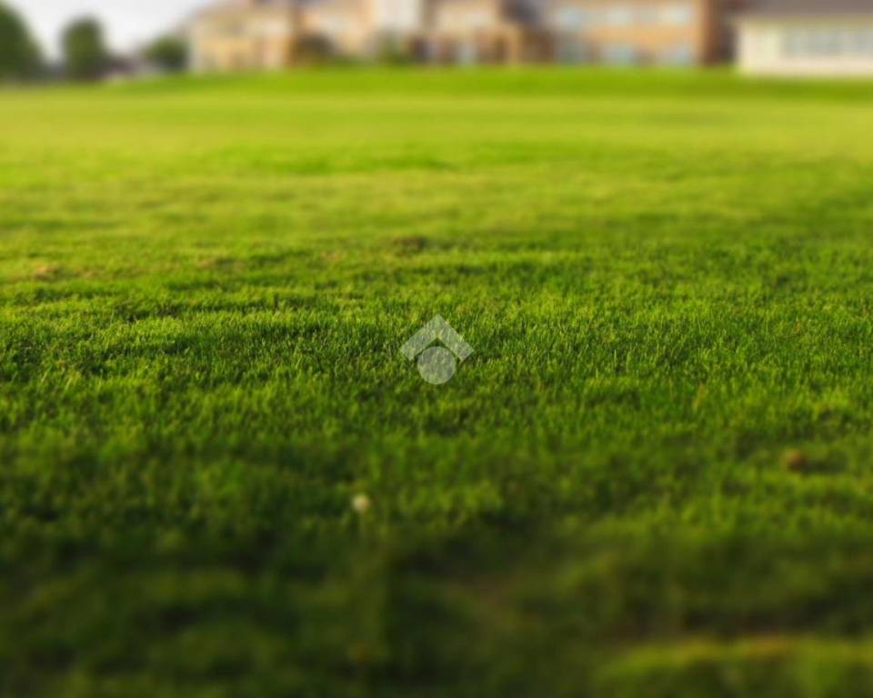 terreno agricolo in vendita a Roncade in zona Biancade