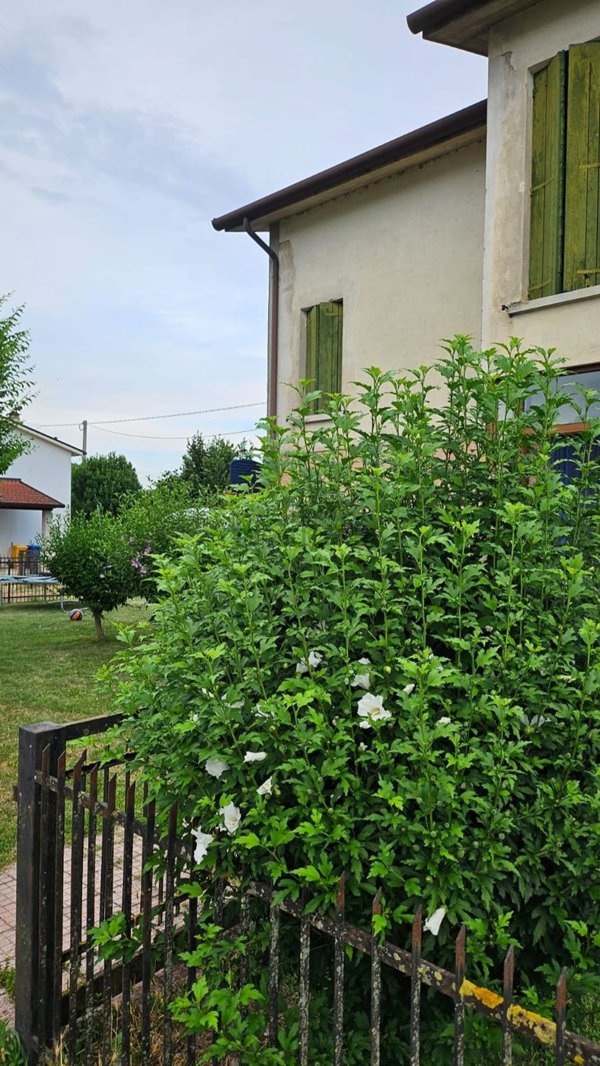 casa indipendente in vendita a Roncade in zona Ca' Tron