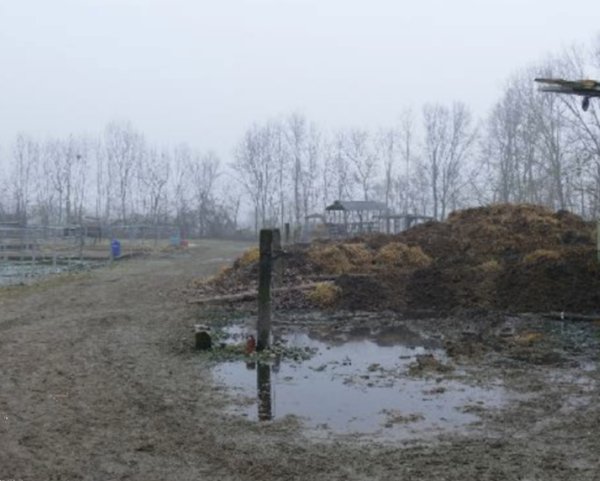 terreno agricolo in vendita a Roncade
