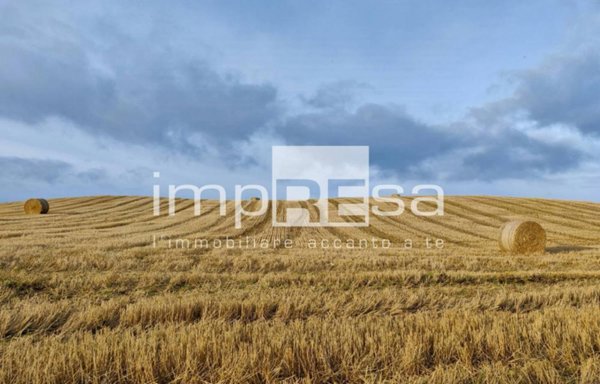 terreno agricolo in vendita a Roncade in zona Biancade