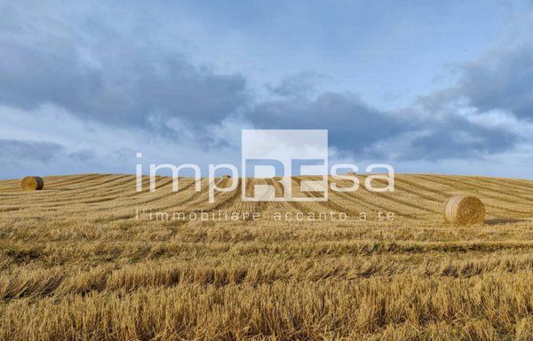 terreno agricolo in vendita a Roncade in zona Biancade