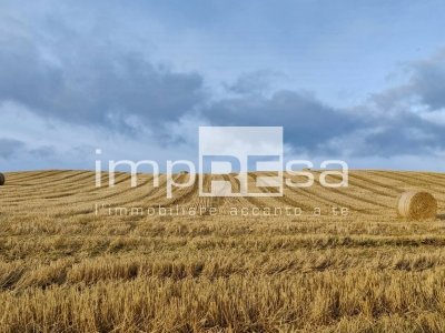 terreno agricolo in vendita a Roncade in zona Biancade