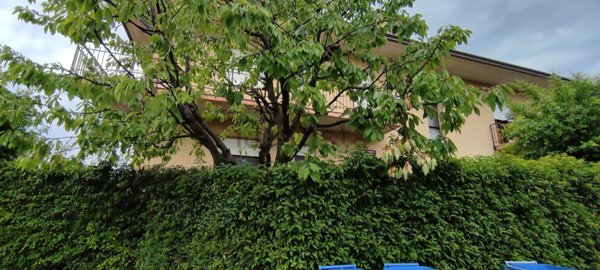 appartamento in vendita a Roncade in zona San Cipriano