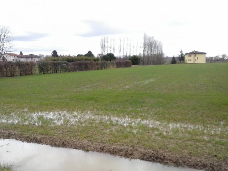 terreno agricolo in vendita a Roncade