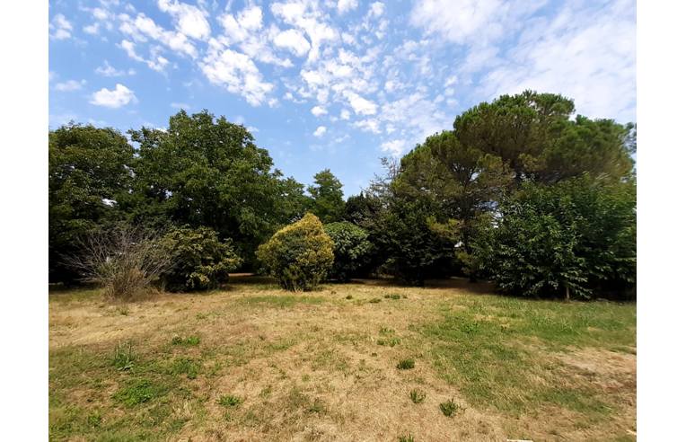 casa indipendente in vendita a Roncade in zona Musestre