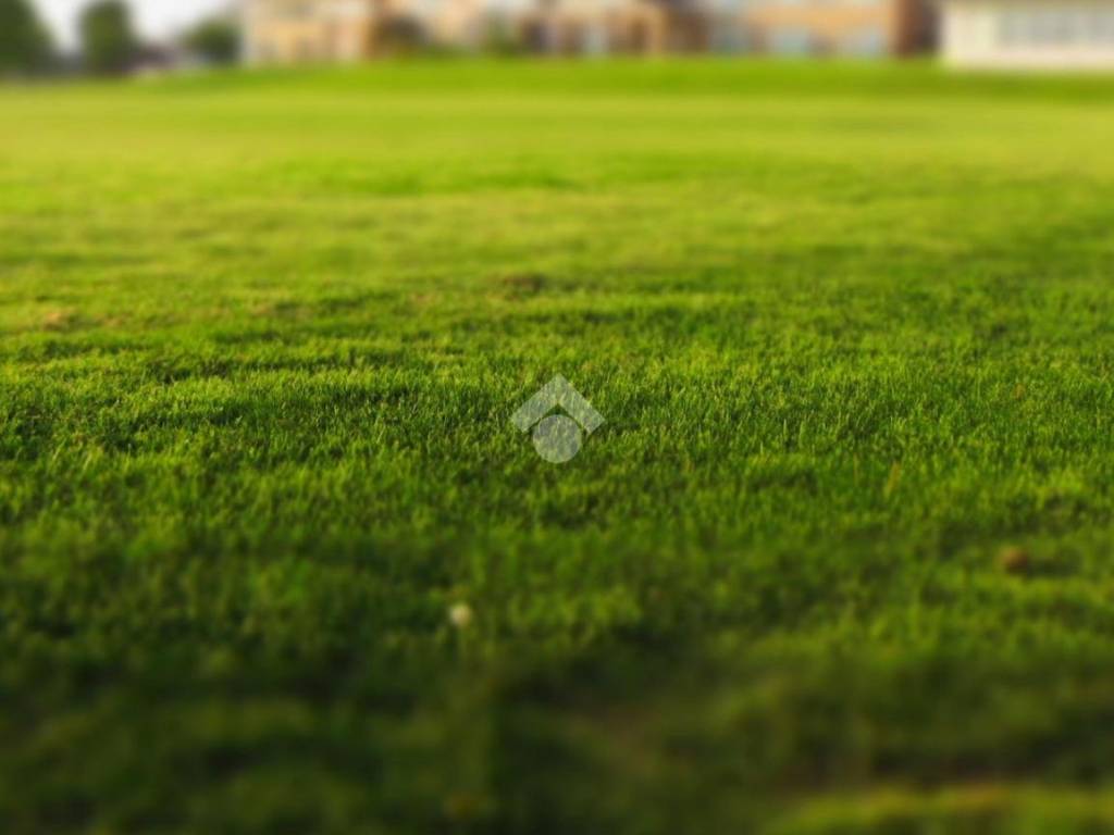 terreno agricolo in vendita a Roncade in zona Biancade