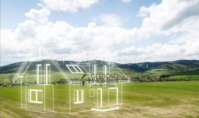 casa indipendente in vendita a Roncade in zona San Cipriano