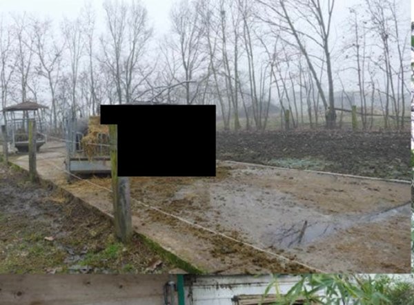 locale di sgombero in vendita a Roncade