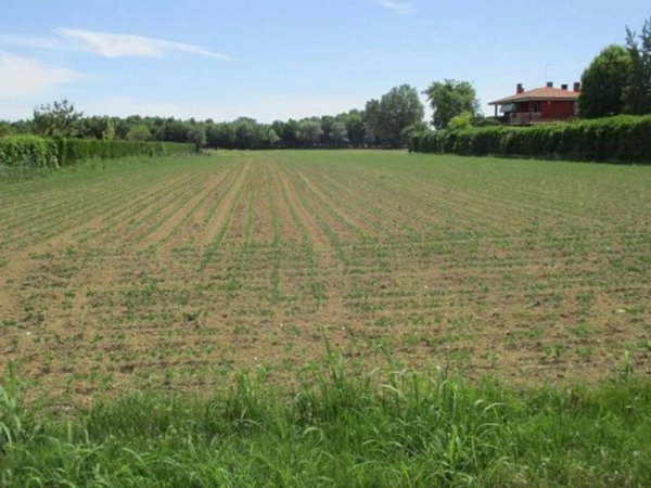 terreno agricolo in vendita a Roncade in zona San Cipriano
