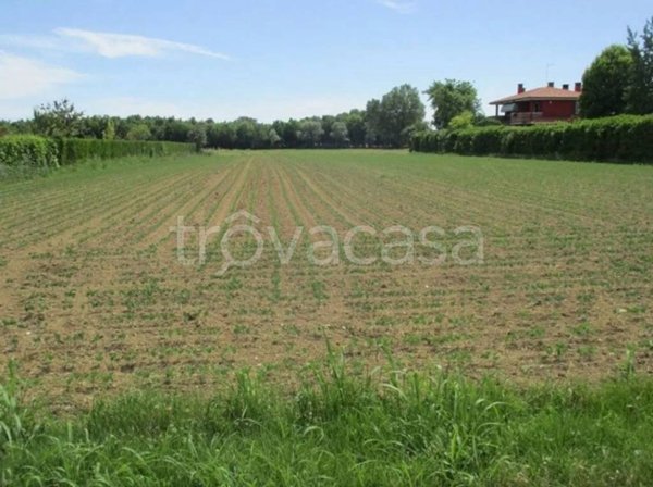 terreno agricolo in vendita a Roncade in zona San Cipriano