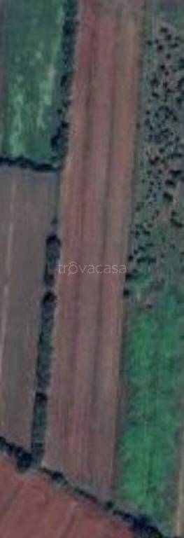 terreno agricolo in vendita a Roncade in zona San Cipriano