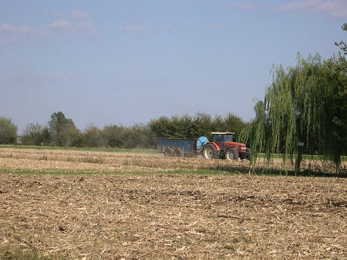 terreno in vendita a Roncade in zona Musestre