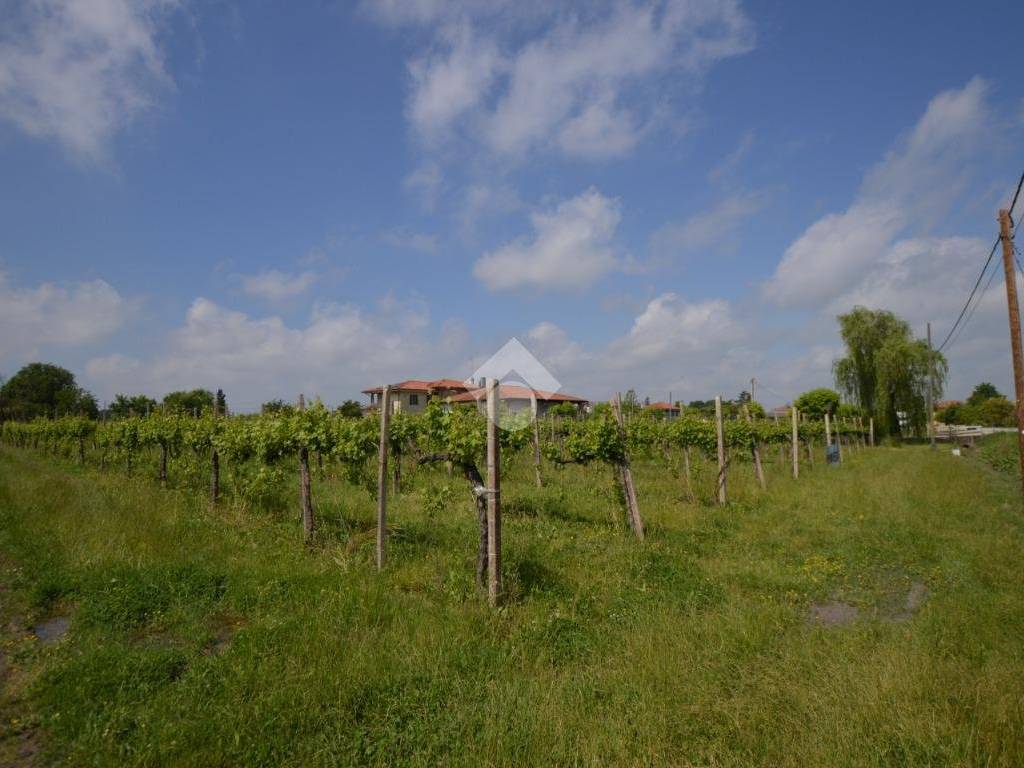 terreno agricolo in vendita a Salgareda