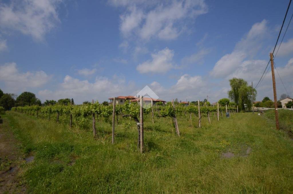 terreno agricolo in vendita a Salgareda