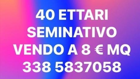 terreno agricolo in vendita a Salgareda
