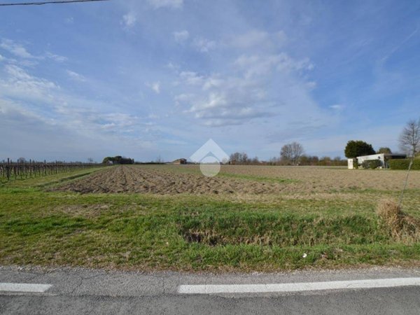 terreno agricolo in vendita a Salgareda in zona Campodipietra