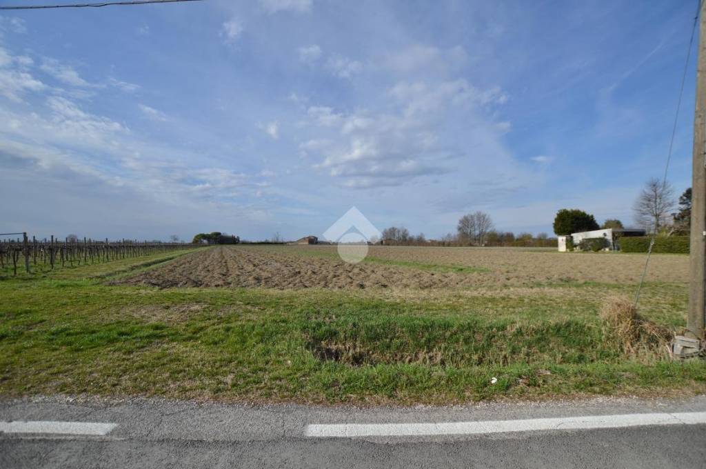 terreno agricolo in vendita a Salgareda in zona Campodipietra