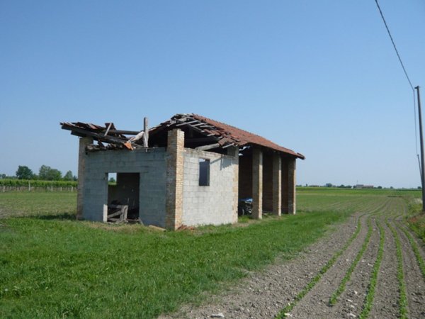 terreno agricolo in vendita a Salgareda