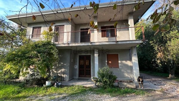 casa indipendente in vendita a Salgareda