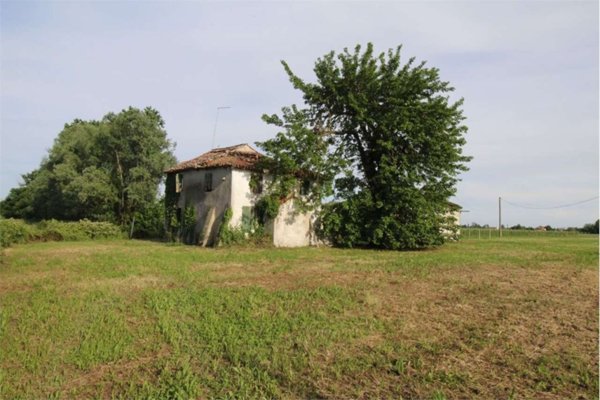 appartamento in vendita a Salgareda