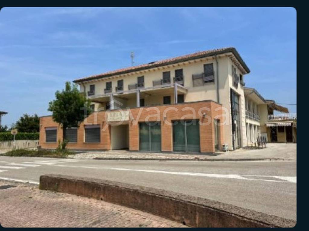 appartamento in vendita a Salgareda