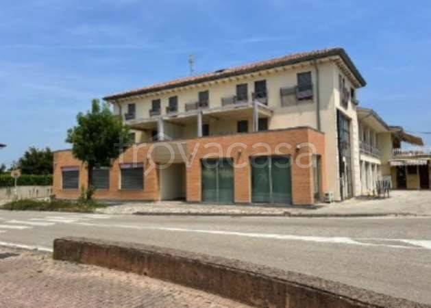 appartamento in vendita a Salgareda in zona Campodipietra