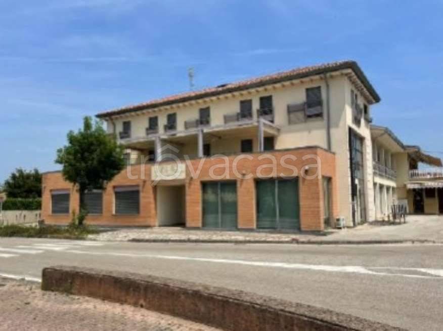 appartamento in vendita a Salgareda in zona Campodipietra