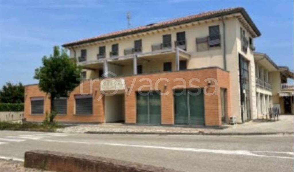 negozio in vendita a Salgareda in zona Campodipietra