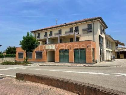 appartamento in vendita a Salgareda