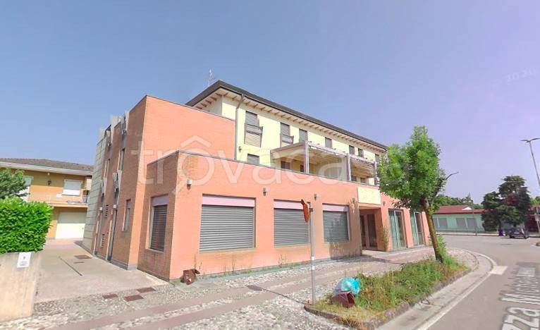 appartamento in vendita a Salgareda