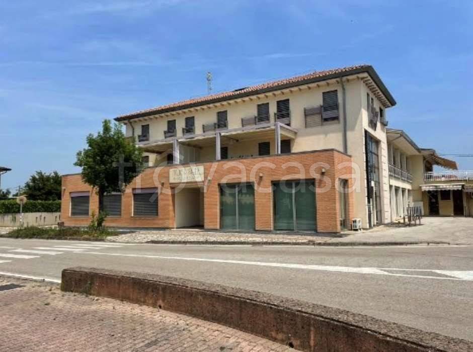 appartamento in vendita a Salgareda