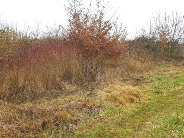 terreno agricolo in vendita a Salgareda