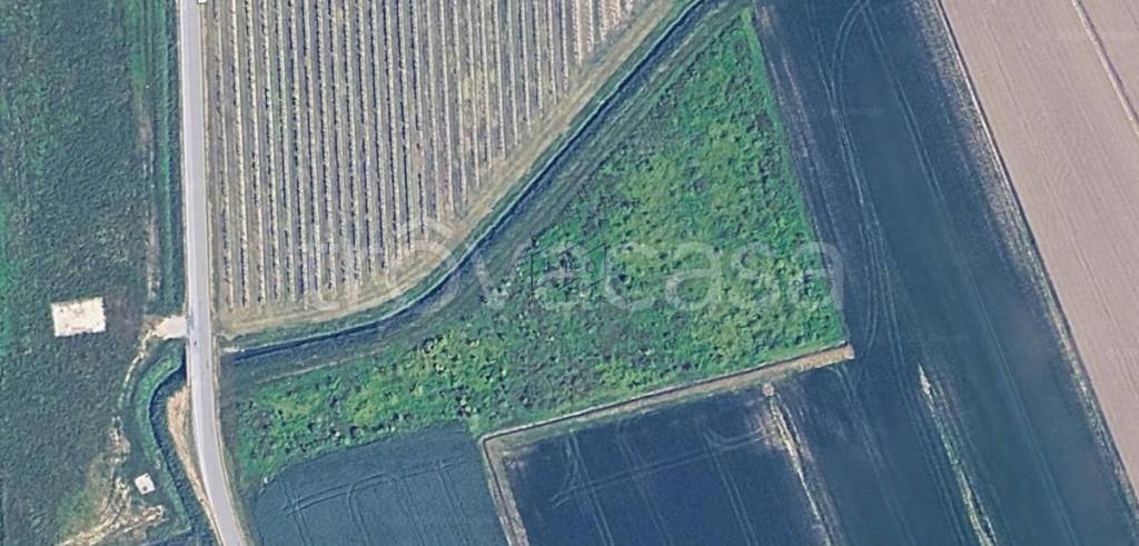 terreno agricolo in vendita a Salgareda