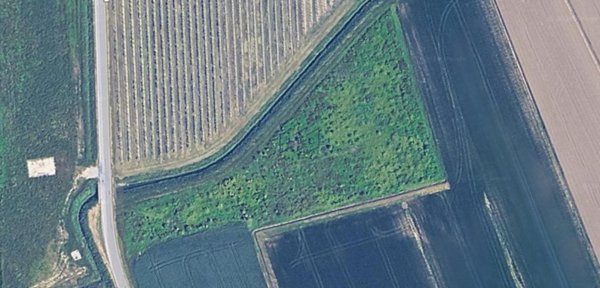 terreno agricolo in vendita a Salgareda