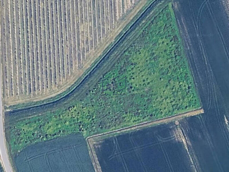 terreno agricolo in vendita a Salgareda