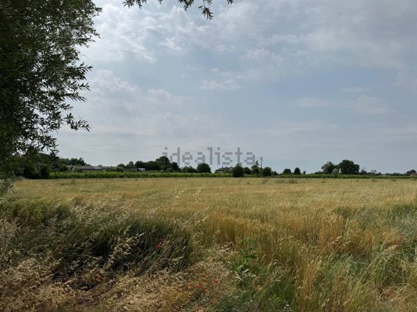 casale in vendita a Salgareda