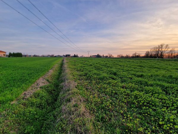 terreno agricolo in vendita a San Biagio di Callalta
