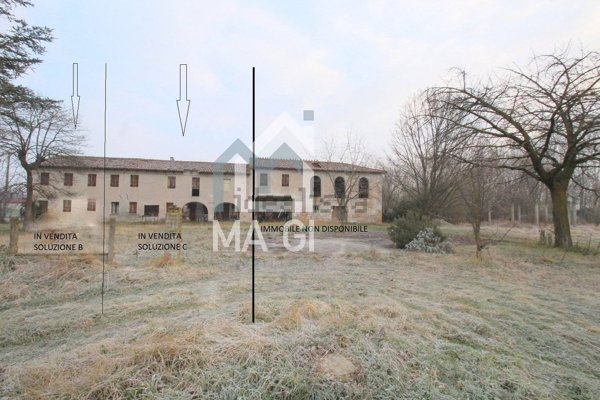 esavano in vendita a San Biagio di Callalta in zona Cavriè