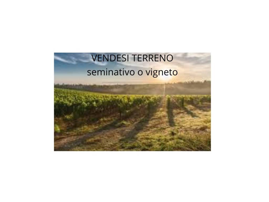 terreno agricolo in vendita a San Biagio di Callalta