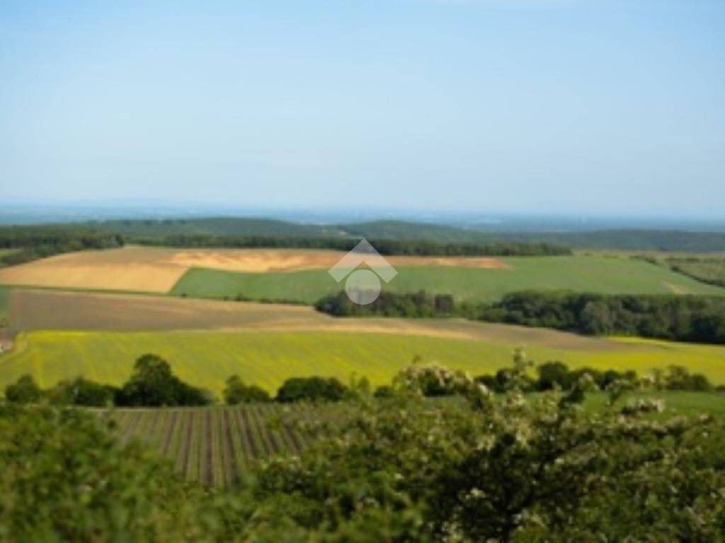 terreno agricolo in vendita a San Biagio di Callalta